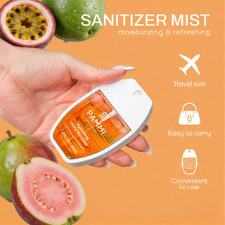 PAMMI Hand Sanitizer Spray with Lip Gloss 4 Pack – Quick Dry Formula, Travel Size Mini Hand Sanitizer, Pocket Friendly, Car Use (2 Pack (Strawberry Watermelon + Guava))